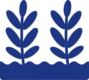 Analytica Global